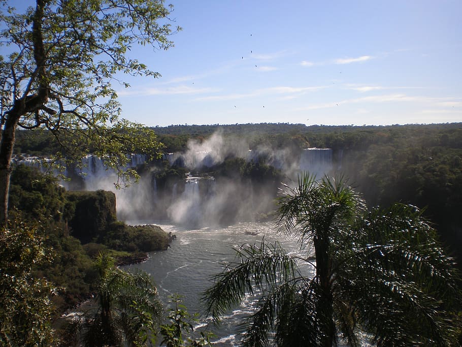 waterfall, cascade falls, iguazu, tree, beauty in nature, scenics - nature HD wallpaper