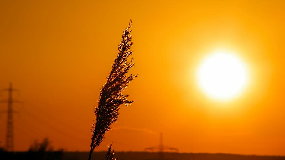 landscape, sunset, twilight, nature, sky, evening sky, clouds HD wallpaper
