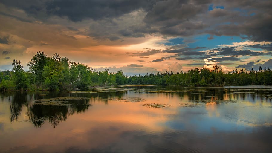 green leaf trees on body of water during golden hour, lake, landscape