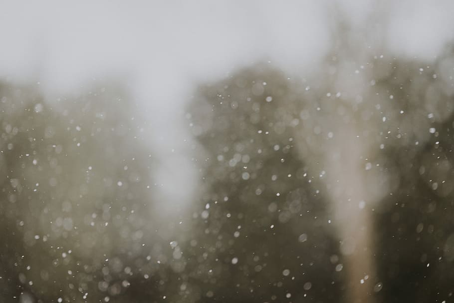 Falling snow in winter, untitled, outdoor, forest, snowing, cold HD wallpaper