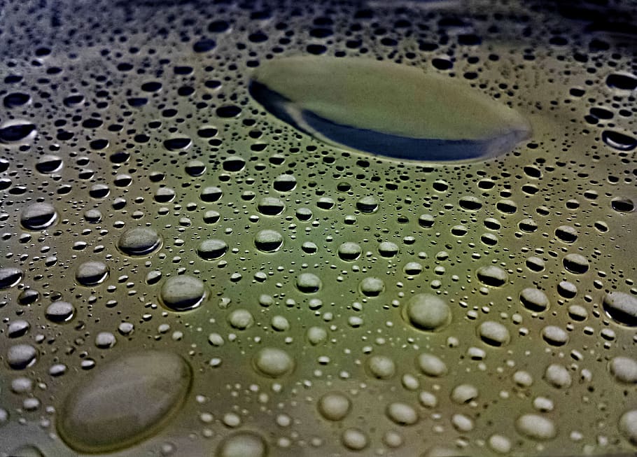 drop, wet, rain, droplet, reflection, rain drops, h2o, splash HD wallpaper