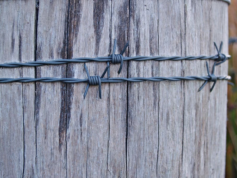 barbed wire, post, wooden, strand, fence, fence post, sharp HD wallpaper