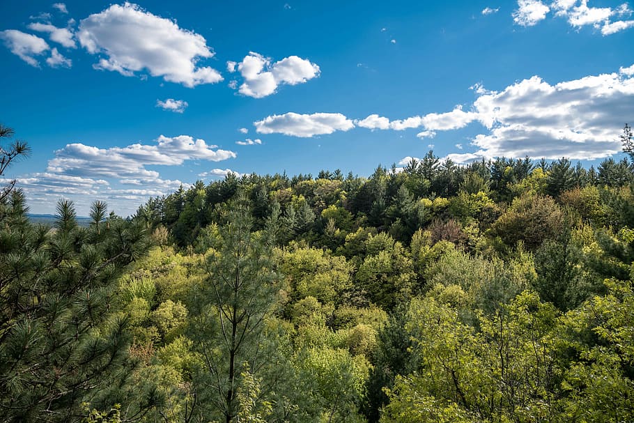Skies over the forest landscape at Levis Mound, Wisconsin, clouds HD wallpaper