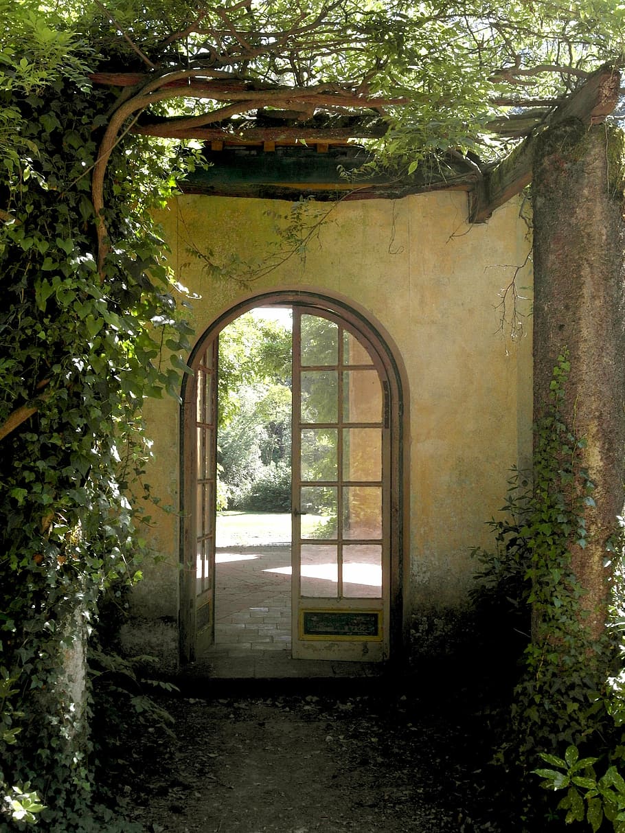 arch white wooden multi-lite door near green vine plants at daytime, HD wallpaper