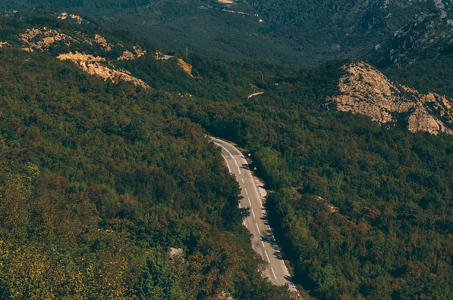 Road in deep green forest, bird's eye view of a road surrounded by forest HD wallpaper