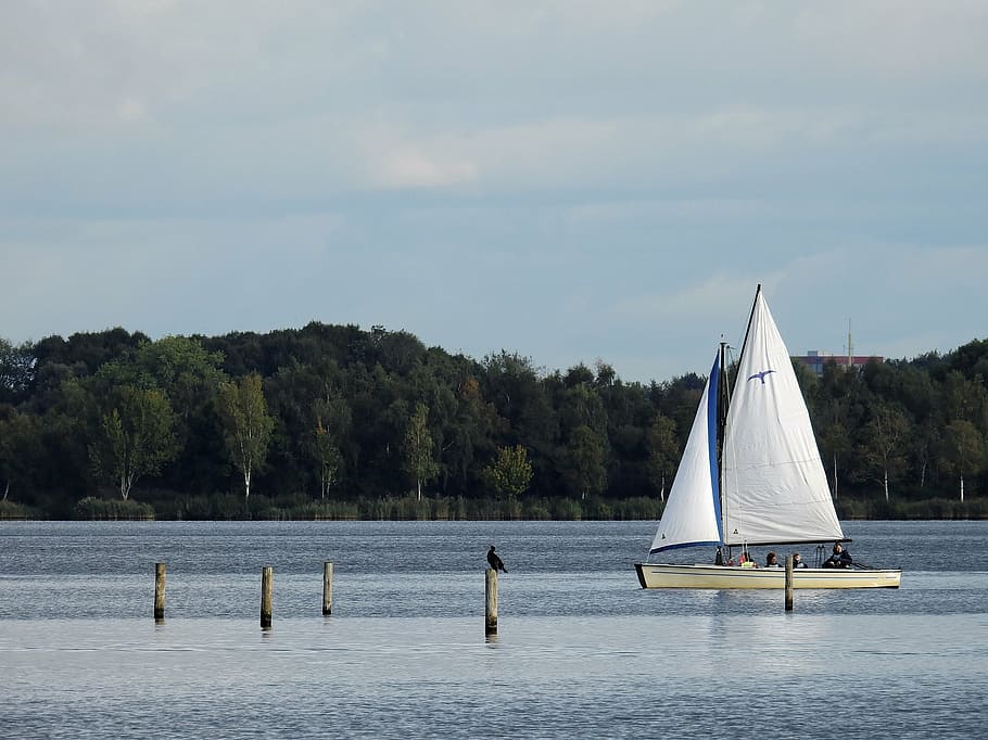 boot, ship, sailing boat, water, lake, north sea, holland, netherlands HD wallpaper