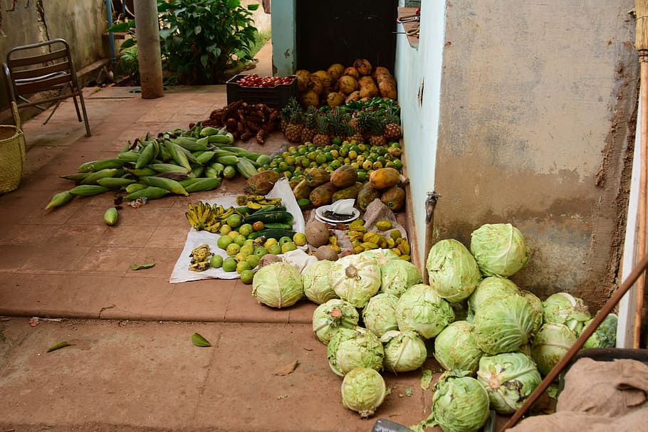 cuban, produce, storage, healthy eating, food, food and drink HD wallpaper