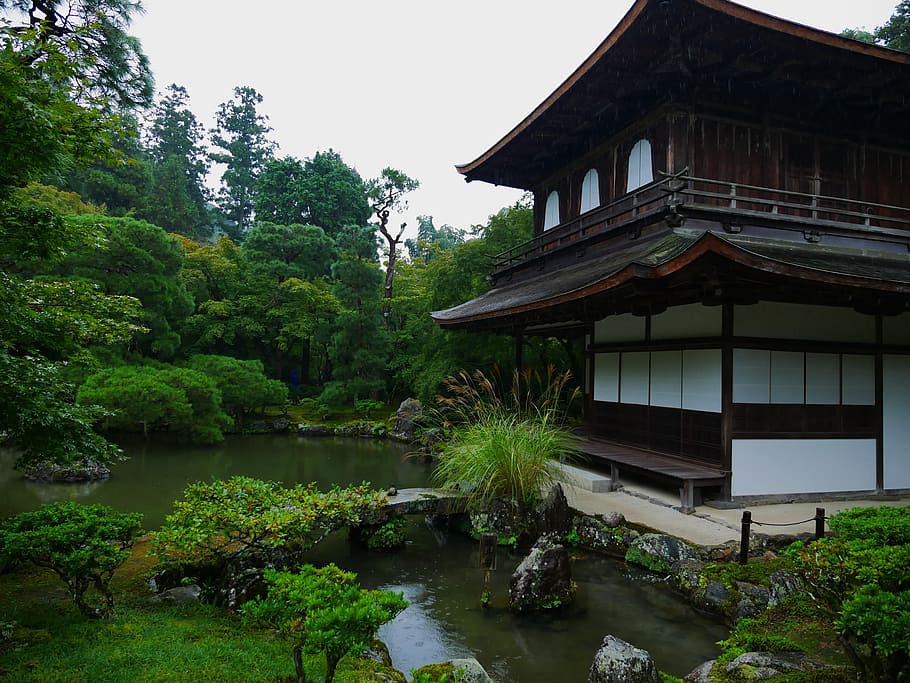 japan, kyoto, built structure, plant, tree, water, architecture HD wallpaper