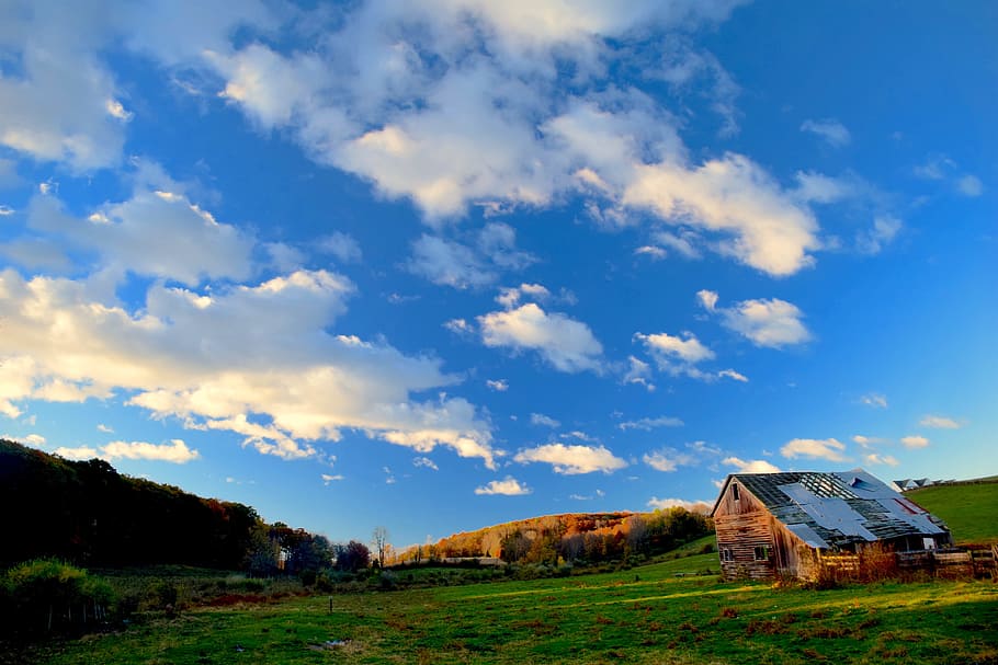 Farm, Rustic, Shack, Rural, Wooden, sky, brown, agriculture HD wallpaper