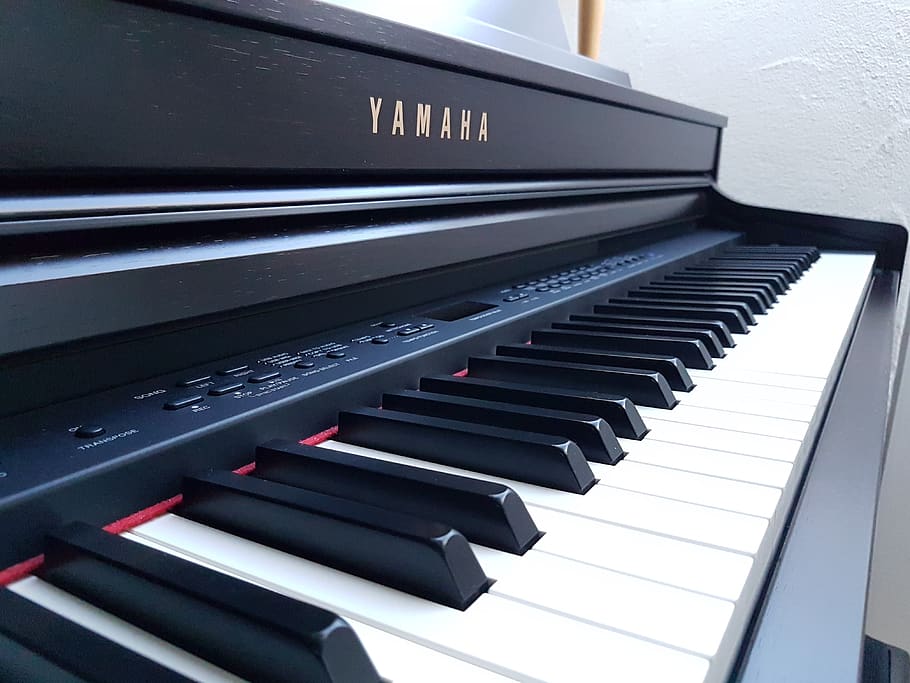 piano, keyboard, epiano, music, musical instrument, musical equipment HD wallpaper