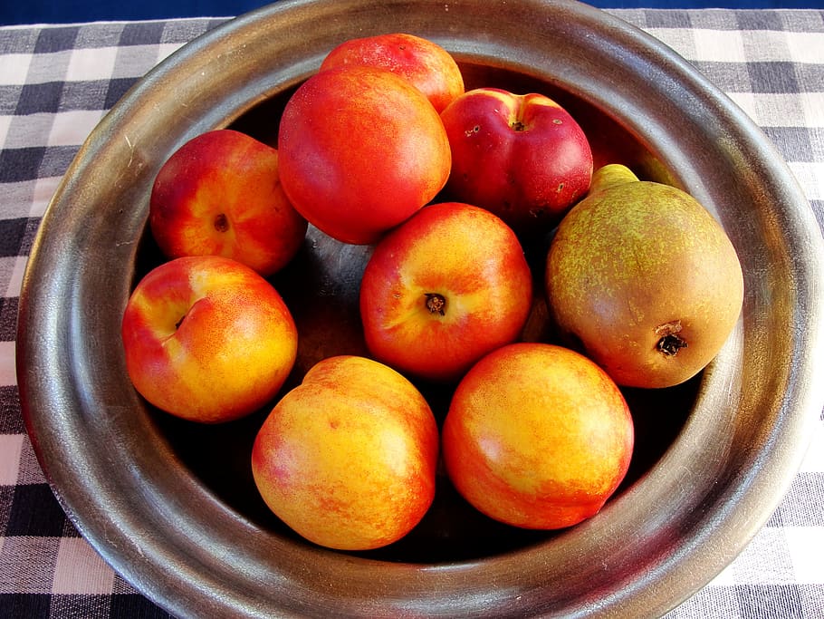 fruit, mat, freshness, apple, juicy, healthy eating, food and drink HD wallpaper