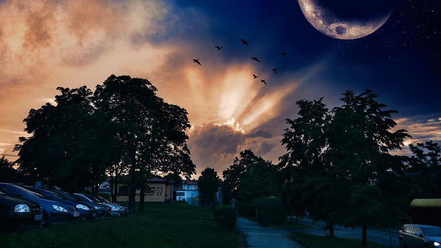Twilight, Sun, Cloud, Cloud Cover, sky, the sun, sunset, evening HD wallpaper