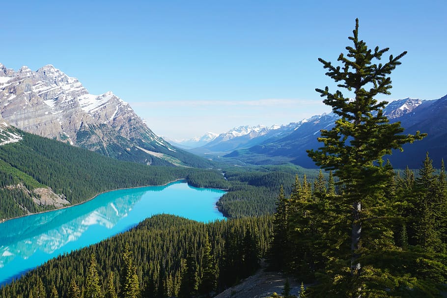 forest and lake under blue cloudy sky, aerial view of blue lagoon near mountain HD wallpaper