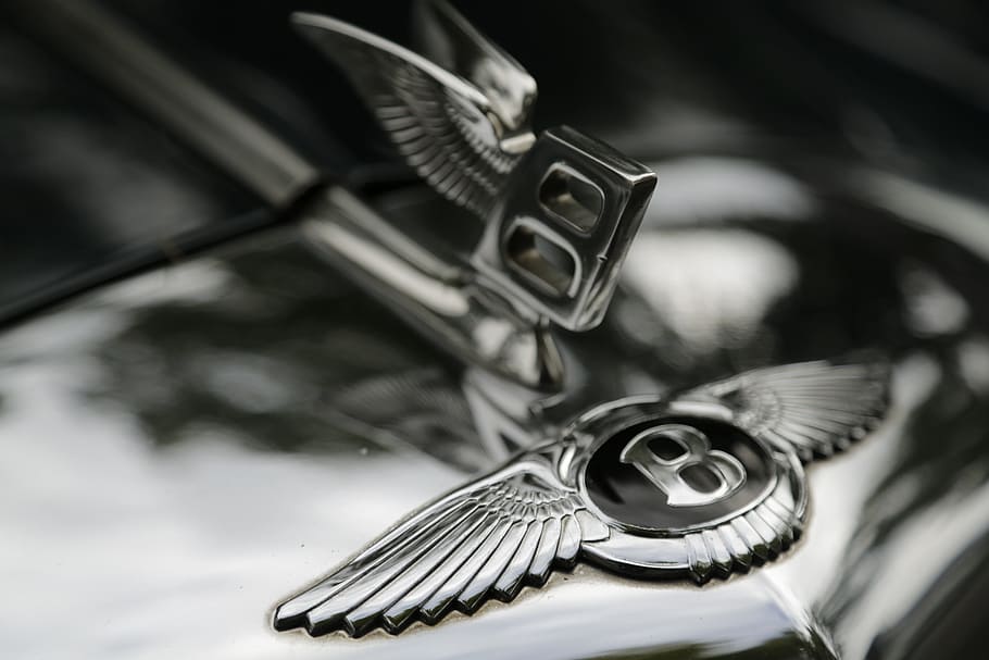 Close Up, Bentley, Wings, metal, close-up, silver Colored, no People HD wallpaper