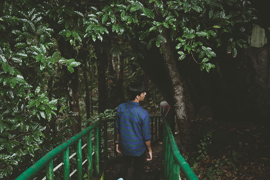 man in blue dress shirt walking under tree, man wearing blue shirt standing on green wooden bridge near tree HD wallpaper