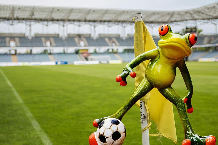 HD wallpaper: Frog, Football, Cute, Play, Sweet, funny, figure, soccer,  sport | Wallpaper Flare