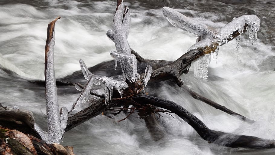 nature, ice, snow, cold, winter, no people, day, water, tree HD wallpaper