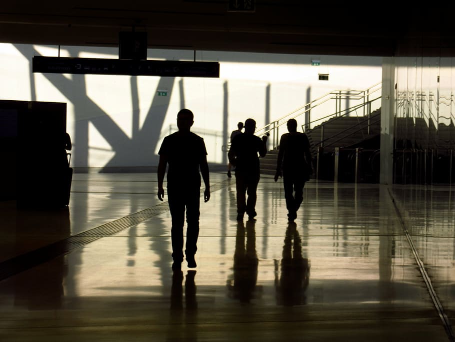 silhouette, human, back light, personal, go, gang, transportation HD wallpaper
