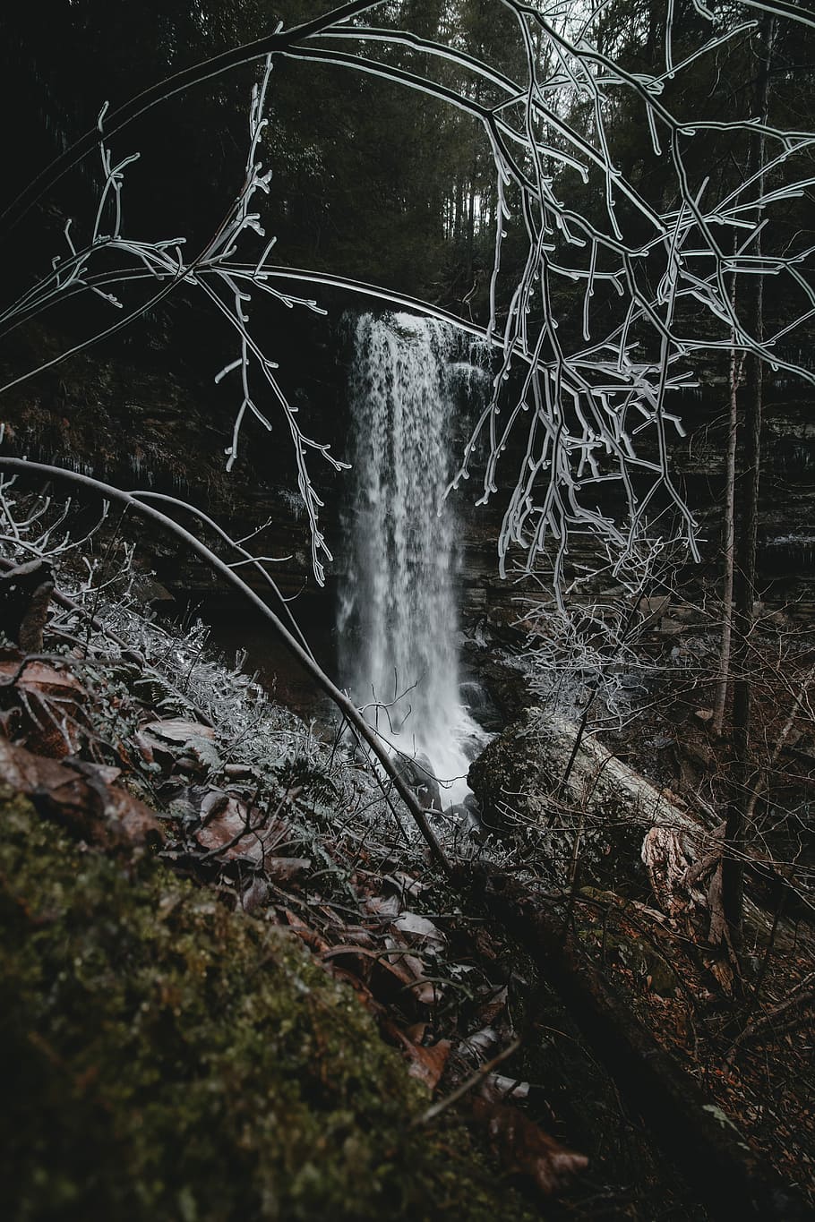 plunge waterfalls, plunge waterfalls at middle of forest, tree HD wallpaper