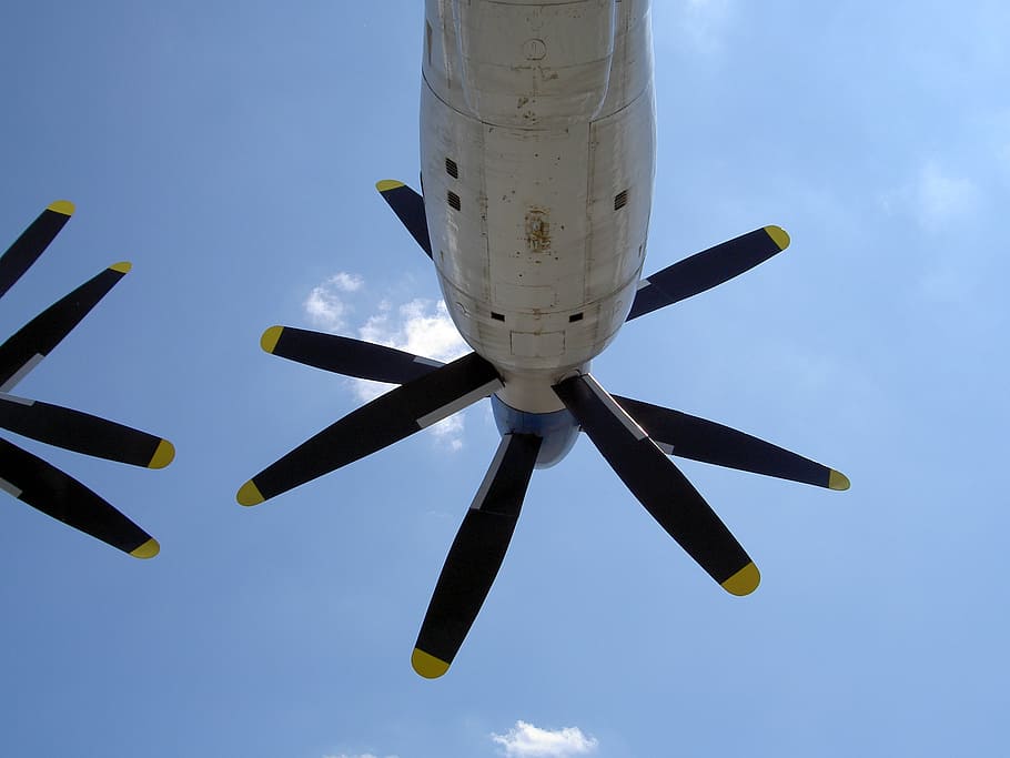 propeller, an-22, aircraft, double, engine, power, transportation HD wallpaper
