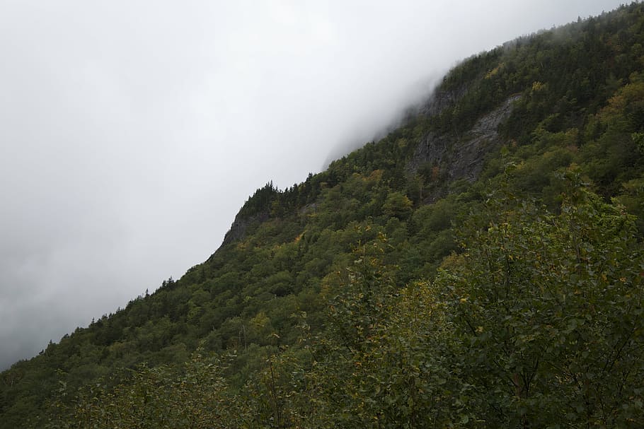 clouds, hill, mountain, nature, forest, outdoors, scenics, fog HD wallpaper