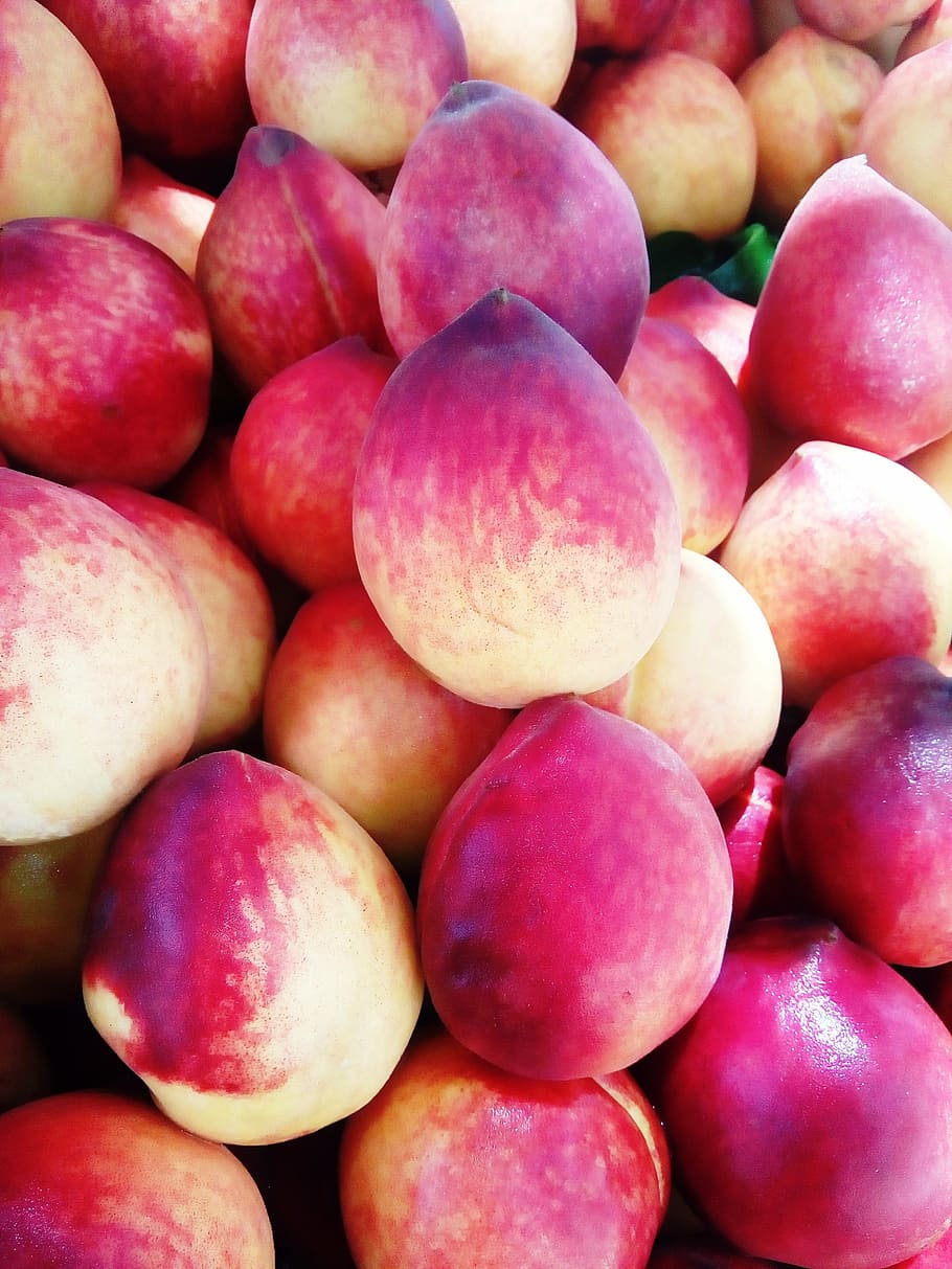 Peach, Fruit, Fresh, Color, Food, freshness, juice, refreshing HD wallpaper