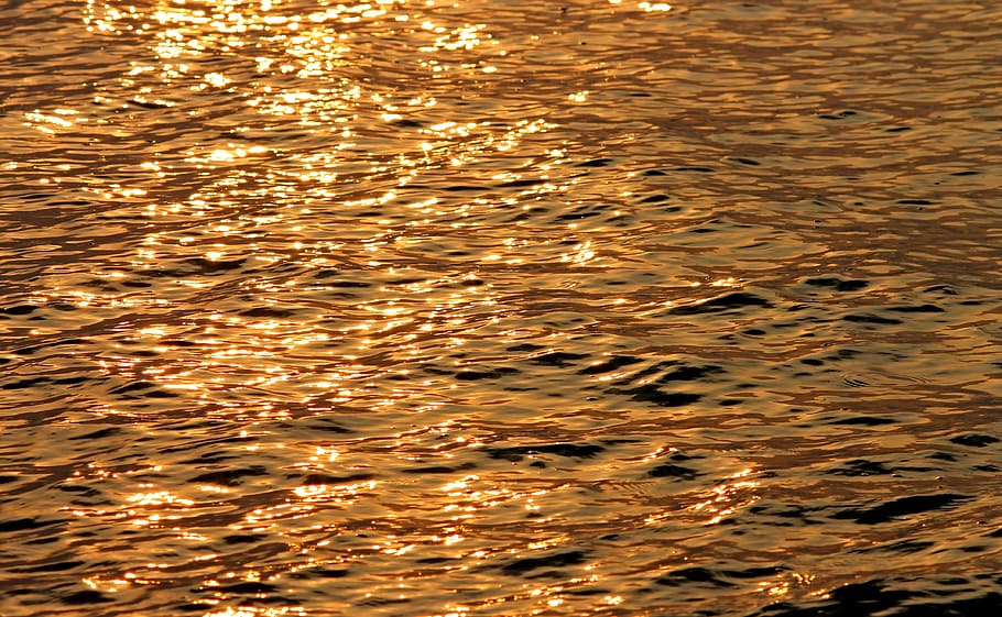 water, mirroring, evening sun, sea, wave, sunlight, golden, HD wallpaper