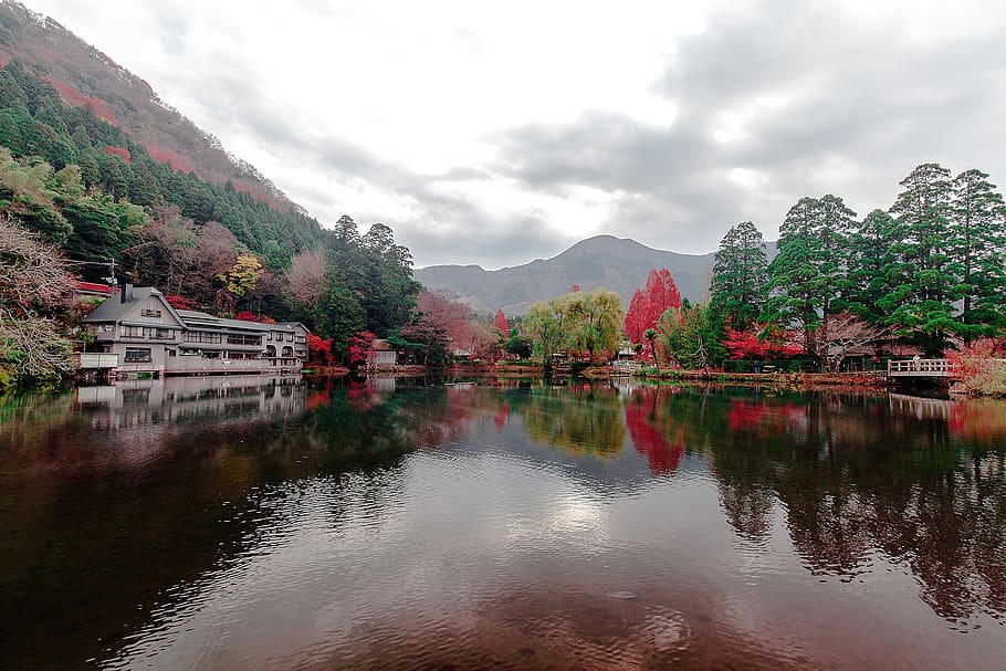 river, water, trees, nature, mountains, beauty in nature, sky HD wallpaper