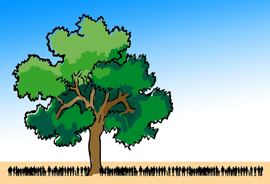 nature, human, city, tree, nature conservation, responsibility HD wallpaper