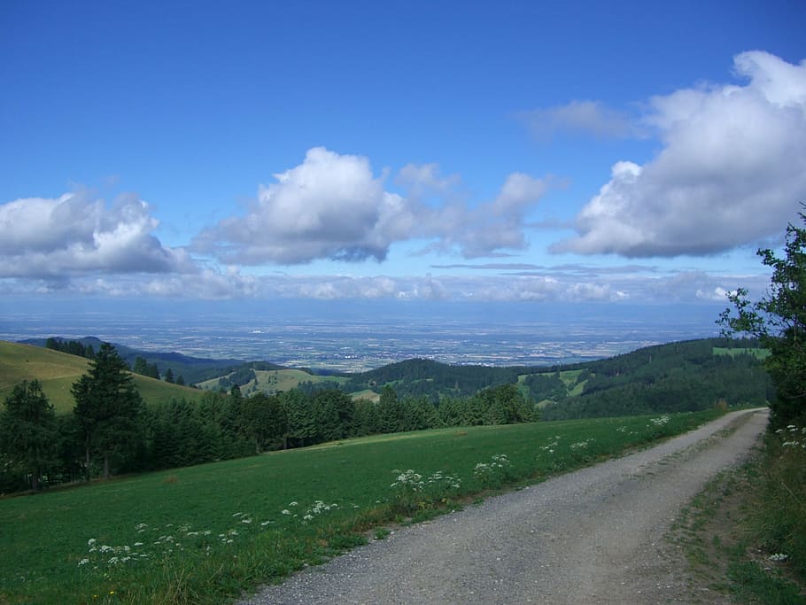 away, trail, outlook, black forest, rhine valley, view, wide HD wallpaper