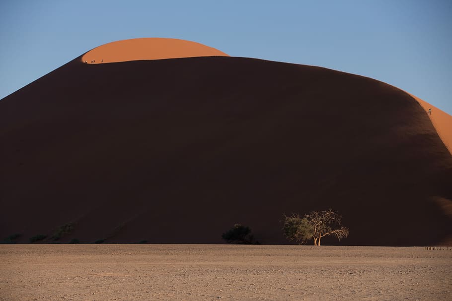 brown sand near mountain at daytime, photography of tree at desert HD wallpaper