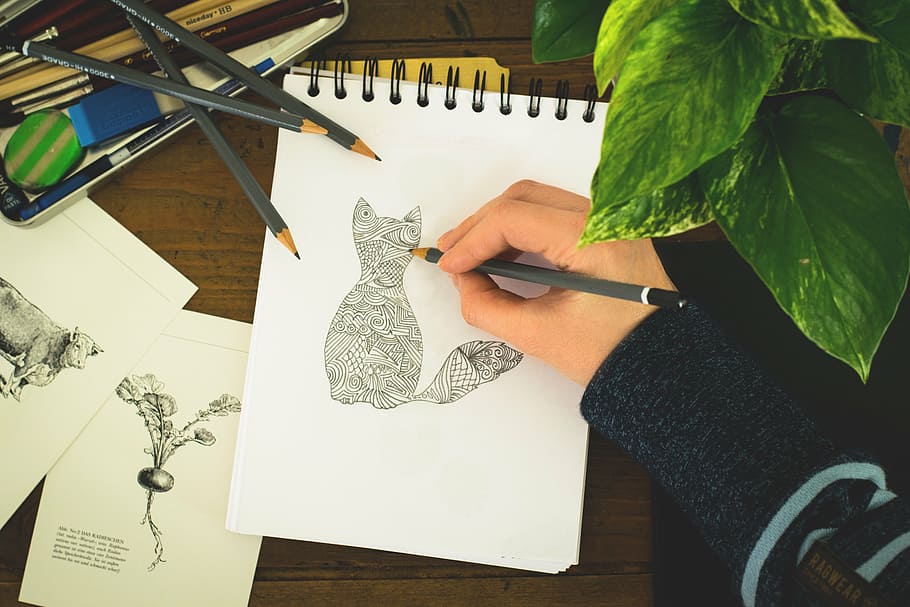 person draws a cat, paint, hand, drawing, art, artists, artistically, HD wallpaper