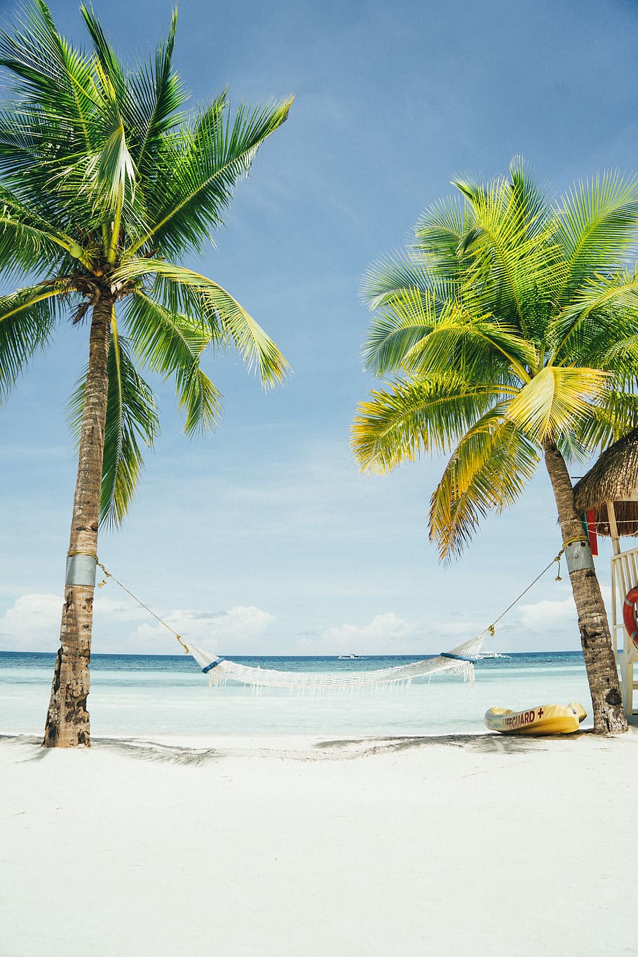 white hammock tied to coconut trees, white hammock near seashore during daytime, HD wallpaper