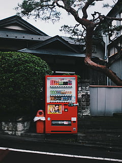 red beverage vending machine on side walk, black, tree, near HD wallpaper