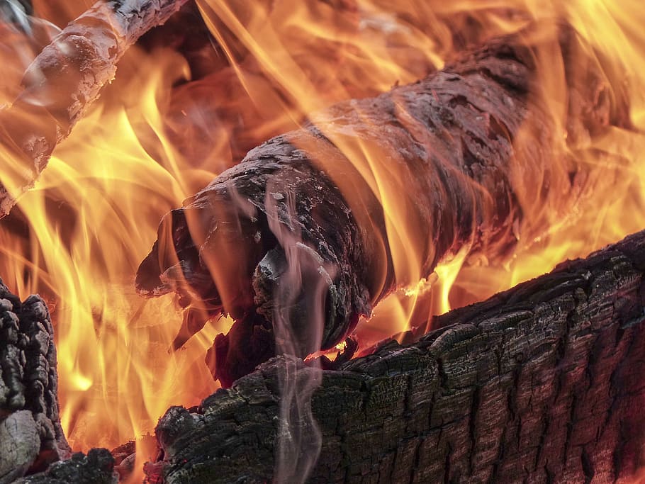 fireplace in closeup photography, raging, dangerous, burning HD wallpaper