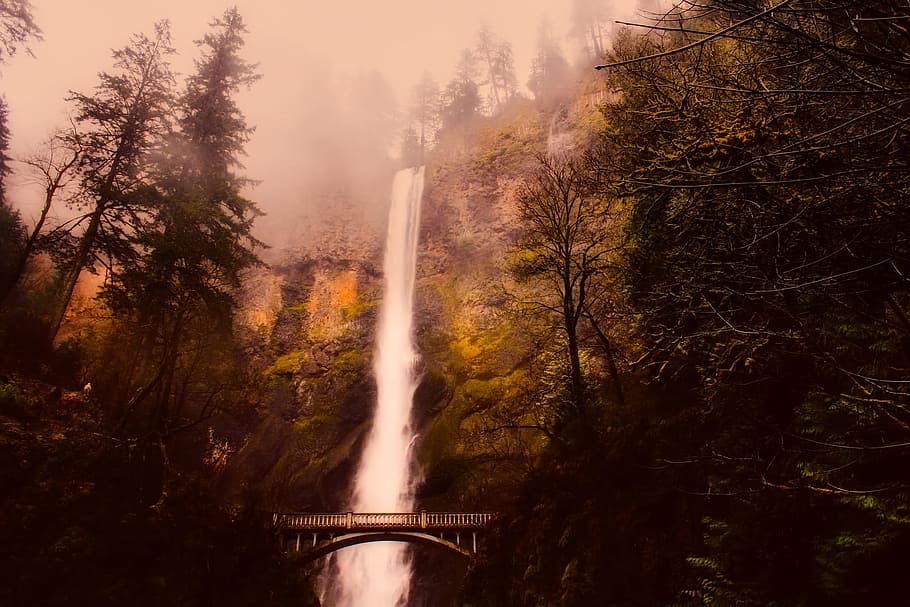 multnomah falls, waterfall, mountains, fog, haze, forest, trees, HD wallpaper