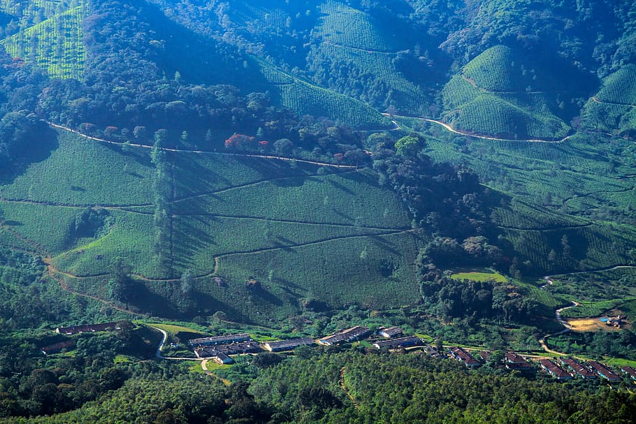 green grass field during daytime, high-angle photo of mountain HD wallpaper