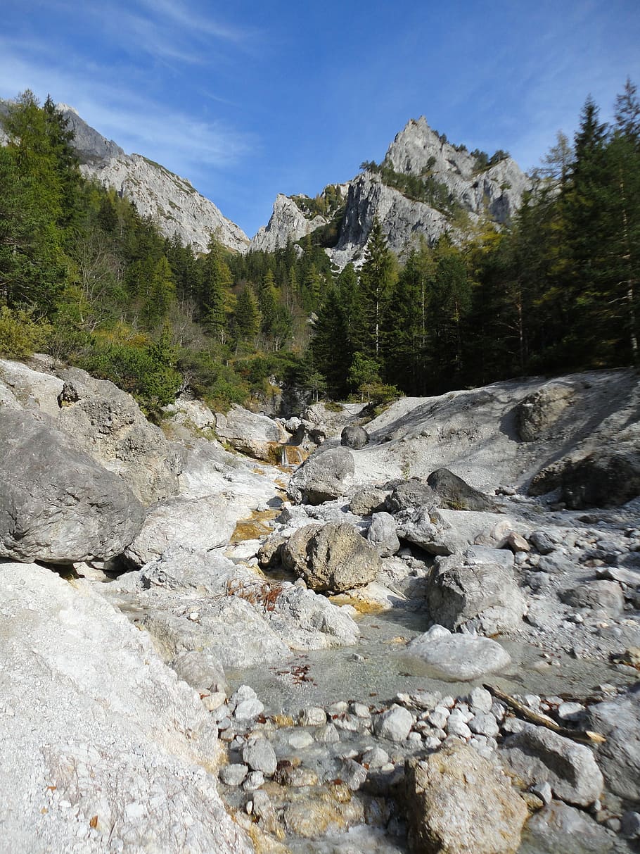 River, Bach, Water, Waters, Idyllic, landscape, nature, clear HD wallpaper