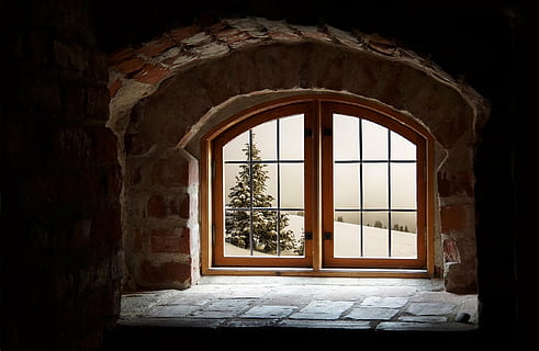 shallow photography of brown wooden glass-panel door with concrete bricked frame HD wallpaper