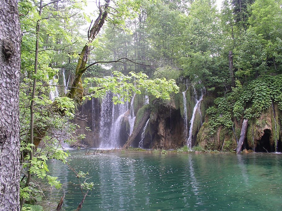 plitvice, croatia, cascade, water, tree, plant, beauty in nature HD wallpaper