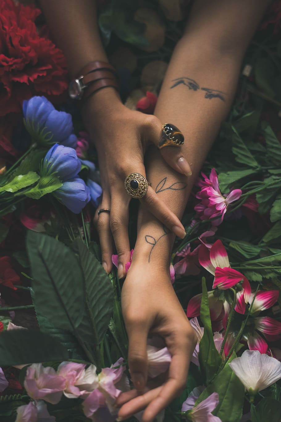 Growth, woman wearing assorted-color rings, hands, tattoo, flowers, HD wallpaper