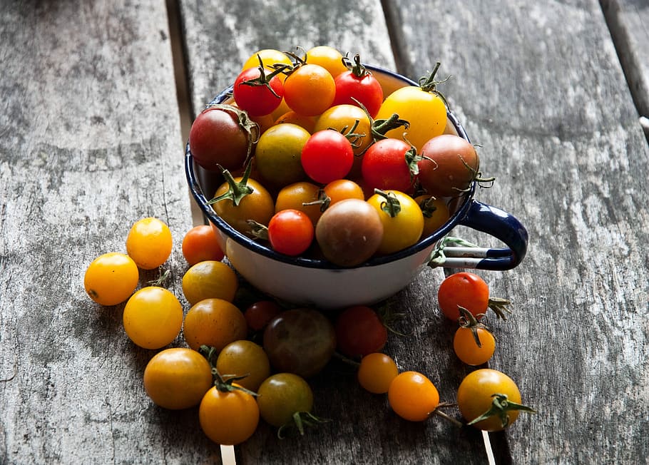 Cherry tomatoes, bowl, cup, ingredient, ingredients, vegetable HD wallpaper