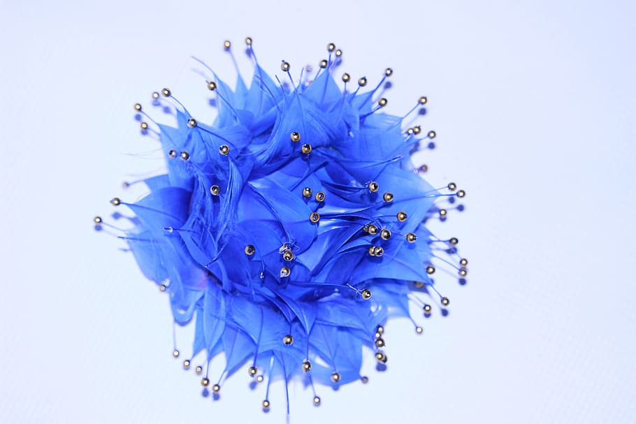 close-up photo of blue flower, desktop, color, explosion, random HD wallpaper