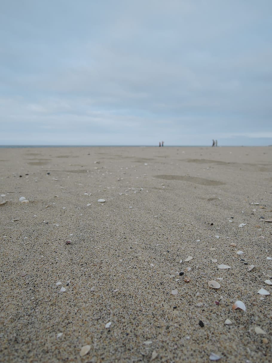 Delusions, Bathing, Beach, Shells, sandy, bathing beach, winter sea HD wallpaper