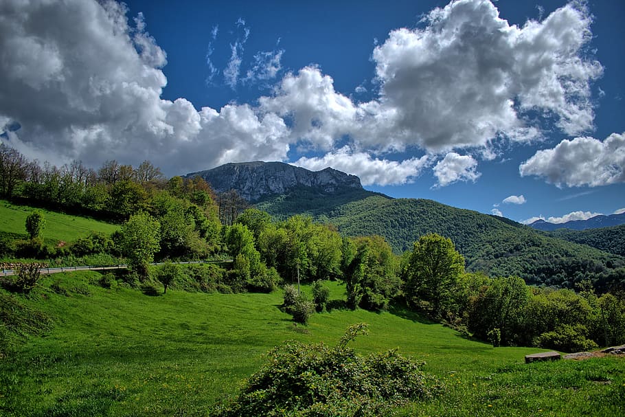 green tree under sky, nature, mountain landscape, plant, beauty in nature HD wallpaper