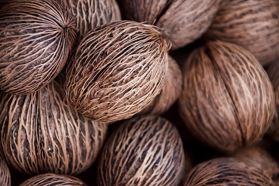 plant, pong, round, texture, tree, pattern, seed, seeds, nut HD wallpaper