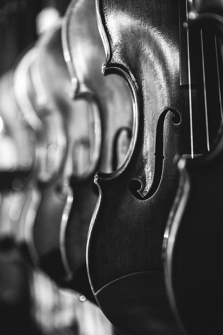 greyscale photo of violins, antique, black and white, blur, bowed stringed instrument