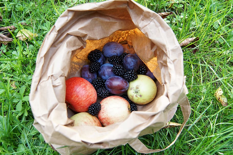fruit, harvest, apple, plum, blackberry, autumn, fruits, bag HD wallpaper