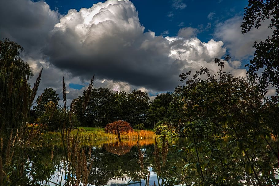 Clouds, Nature, Landscape, sky, cloud - sky, tree, reflection HD wallpaper