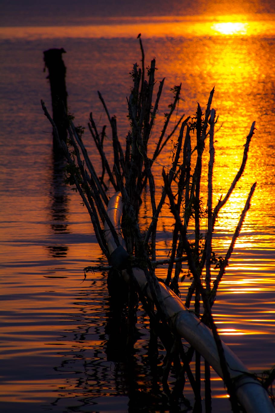 sunset, water, sky, sea, nature, orange color, scenics - nature HD wallpaper